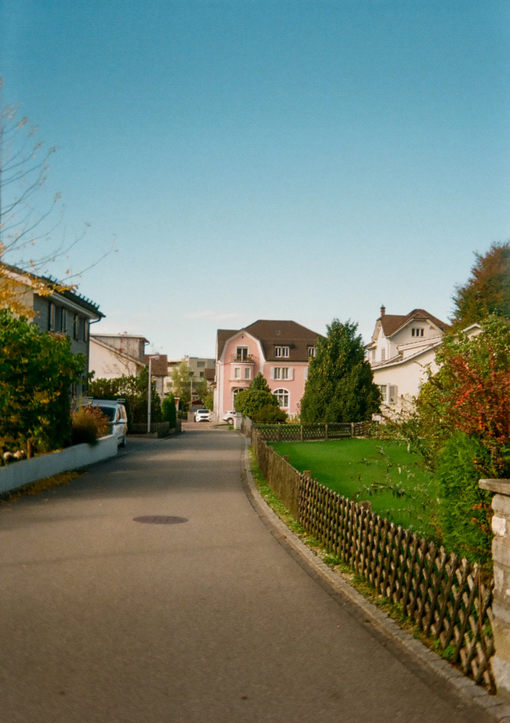 photo 81